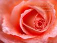 Liefde